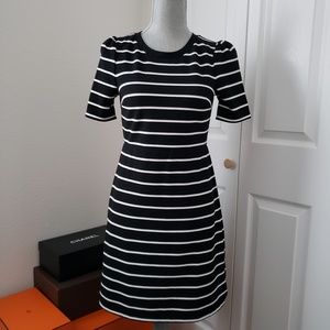 NWT Loft Ottoman Dress